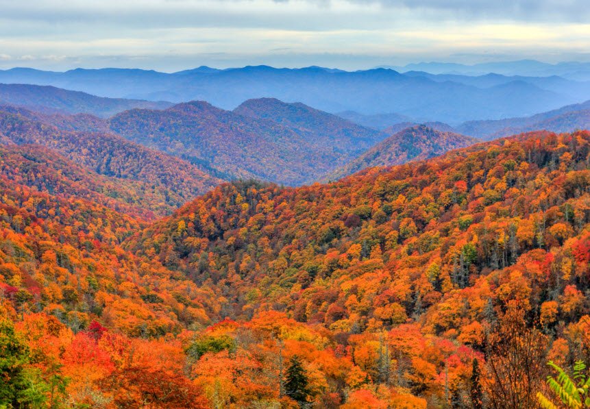 Great Smoky Mountains